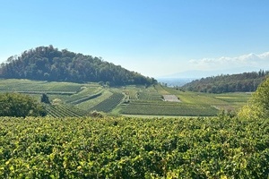 Impressionen aus unseren Ferienwohnungen und dem umliegenden Kaiserstuhl
